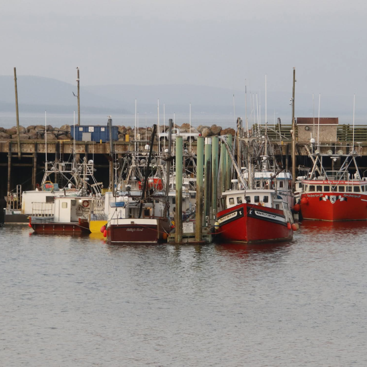 Fishing by Industry