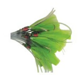 Mackerel Feather Rig